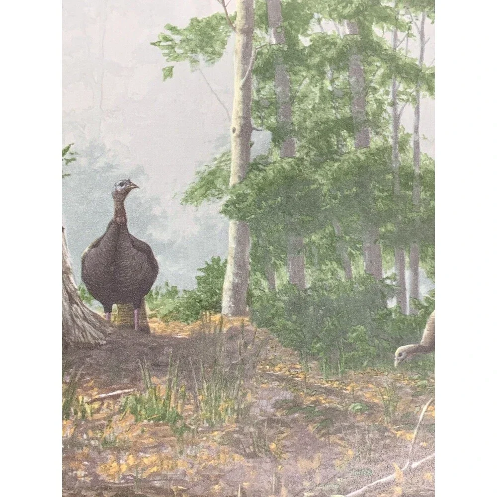 Seabrook Designs Wild Turkey Prepasted Wallpaper Border HG522B X 3 rolls